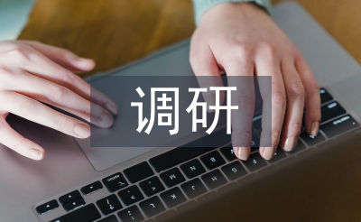 品牌戰略調研
