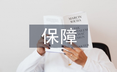 網絡經濟下人力資源保障研究