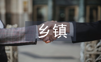 鄉鎮公共行政論文