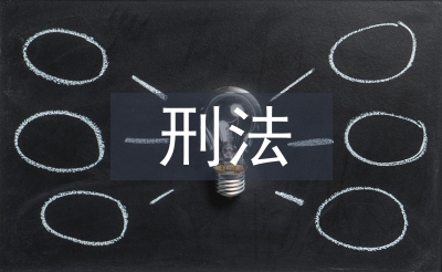 刑法案例論文
