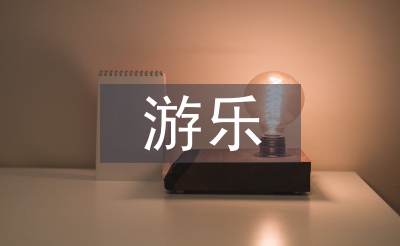 游樂實(shí)訓(xùn)總結(jié)