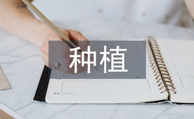 談花生栽培技術(shù)和提高種植效益