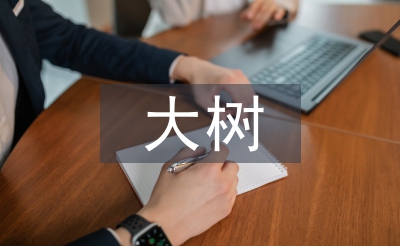 野生香樟大樹的移栽與養護