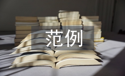 年度述職報告范例