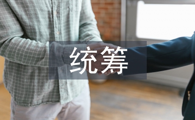 統籌管理論文