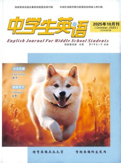 中學生英語雜志