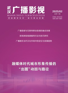 武漢廣播影視雜志